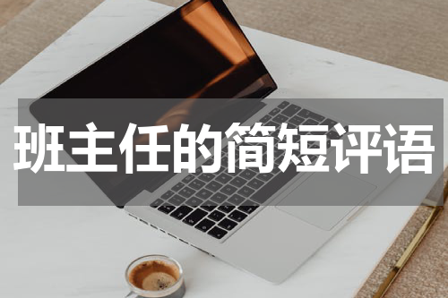 班主任的简短评语