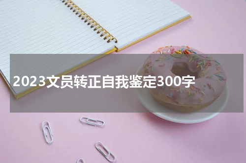 2023文员转正自我鉴定300字