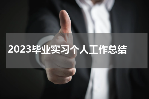 2023毕业实习个人工作总结