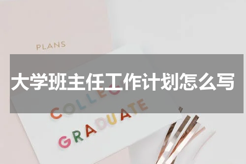 大学班主任工作计划怎么写