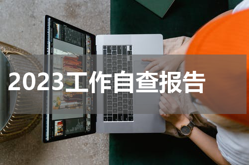 2023工作自查报告