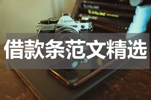 借款条范文精选