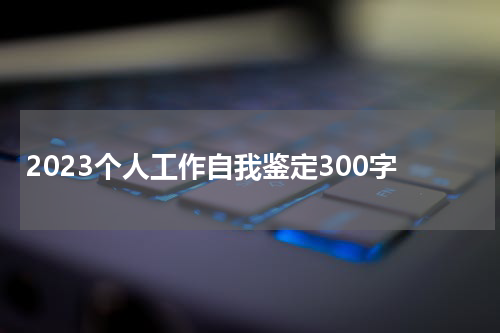 2023个人工作自我鉴定300字