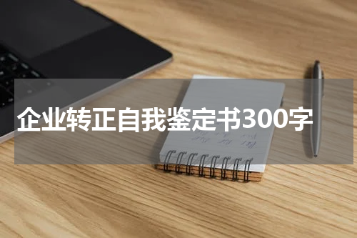 企业转正自我鉴定书300字