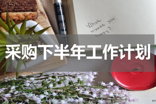 采购下半年工作计划