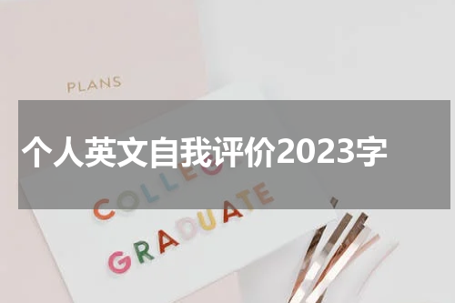 个人英文自我评价2023字