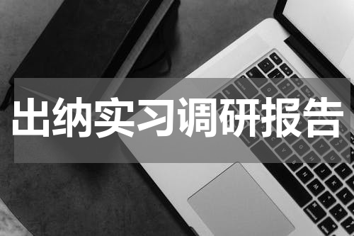 出纳实习调研报告