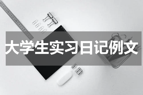大学生实习日记例文