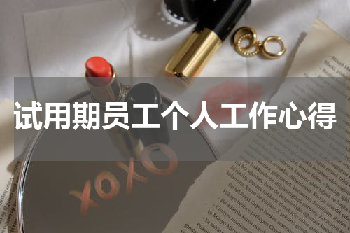 试用期员工个人工作心得
