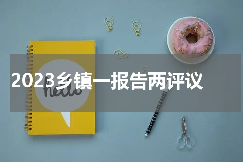 2023乡镇一报告两评议