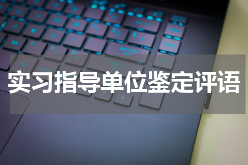 实习指导单位鉴定评语