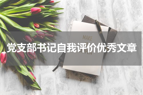 党支部书记自我评价优秀文章