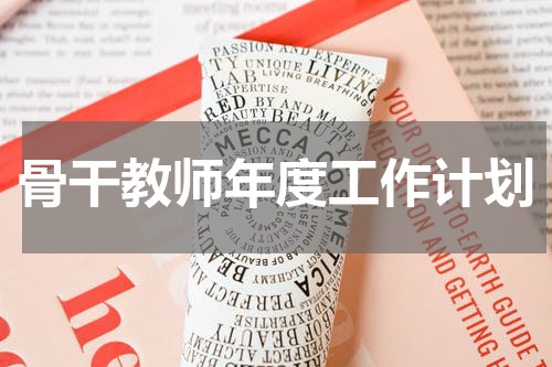 骨干教师年度工作计划