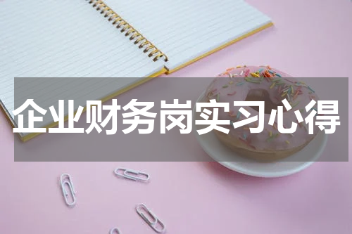 企业财务岗实习心得