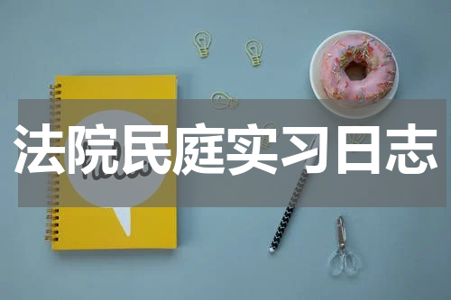 法院民庭实习日志