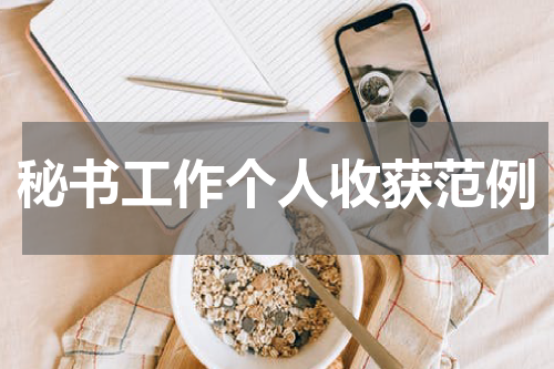 秘书工作个人收获范例
