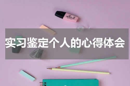 实习鉴定个人的心得体会
