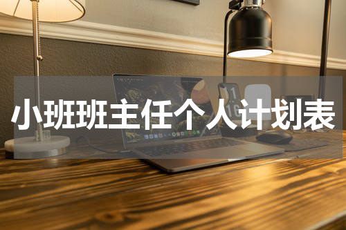 小班班主任个人计划表