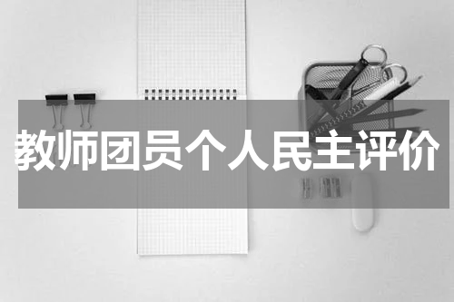 教师团员个人民主评价