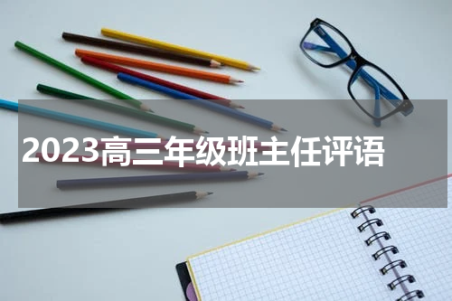 2023高三年级班主任评语
