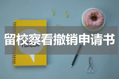 留校察看撤销申请书