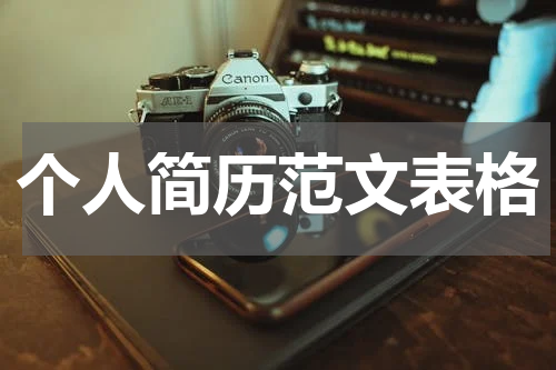 个人简历范文表格