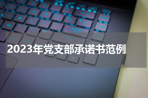 2023年党支部承诺书范例