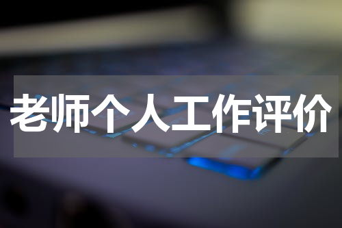 老师个人工作评价