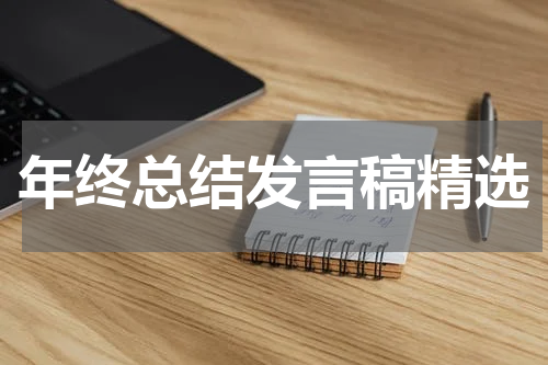 年终总结发言稿精选
