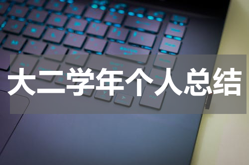 大二学年个人总结