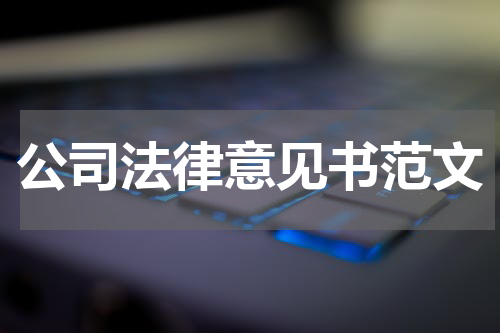公司法律意见书范文