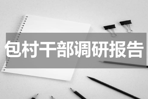 包村干部调研报告