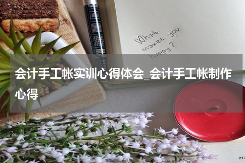 会计手工帐实训心得体会_会计手工帐制作心得
