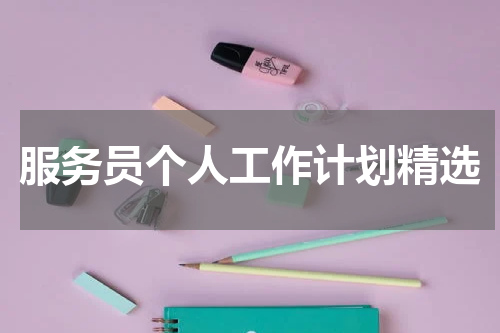服务员个人工作计划精选