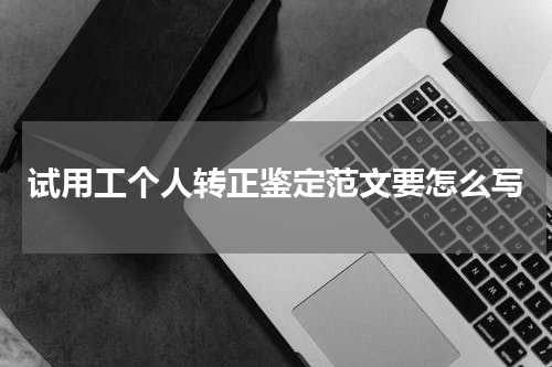 试用工个人转正鉴定范文要怎么写