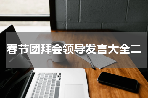 春节团拜会领导发言大全二