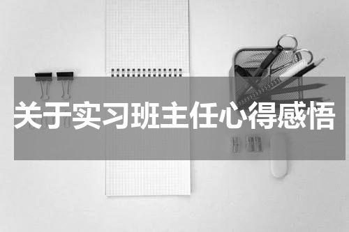 关于实习班主任心得感悟