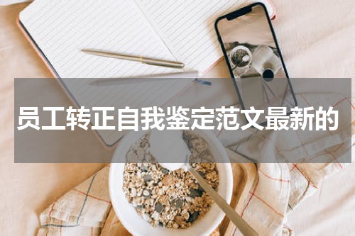 员工转正自我鉴定范文最新的
