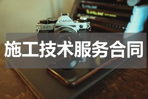 施工技术服务合同