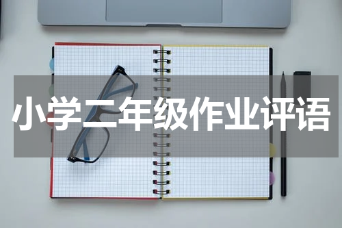 小学二年级作业评语