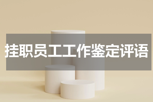 挂职员工工作鉴定评语