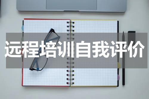远程培训自我评价