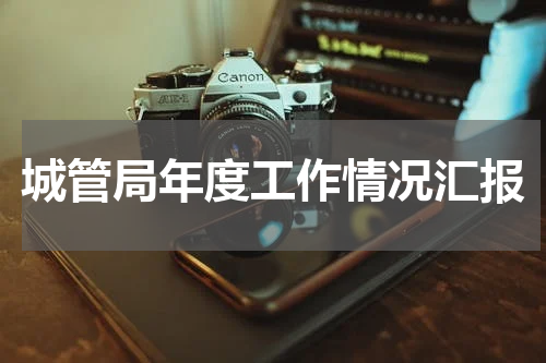 城管局年度工作情况汇报