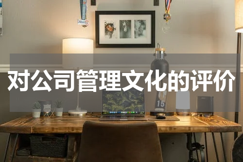 对公司管理文化的评价