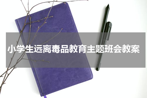小学生远离毒品教育主题班会教案