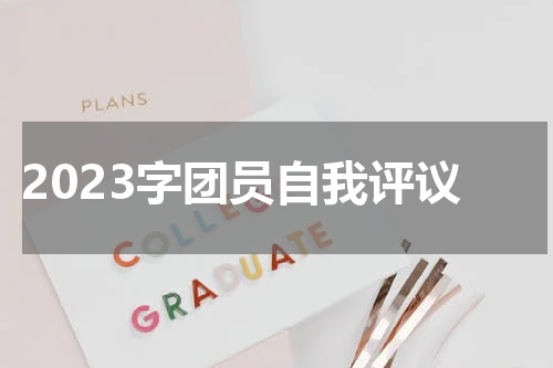 2023字团员自我评议