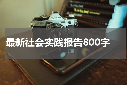 最新社会实践报告800字