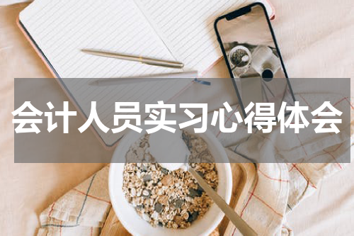 会计人员实习心得体会