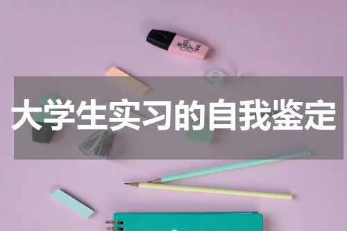 大学生实习的自我鉴定