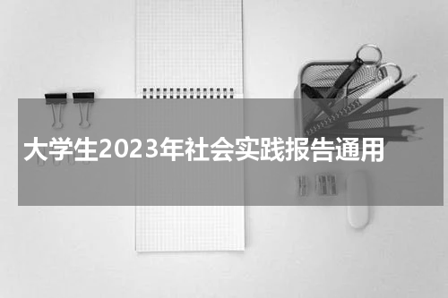 大学生2023年社会实践报告通用